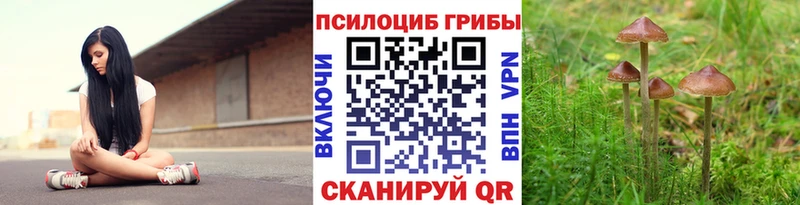 Псилоцибиновые грибы мухоморы  Удомля 